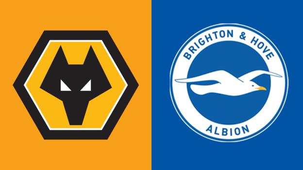 Wolves v Brighton